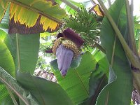 38-DSCF1057