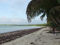39-DSCF1154