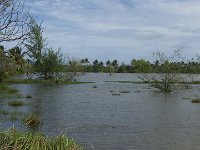 76-DSCF1199